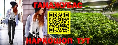 шишки Заводоуковск