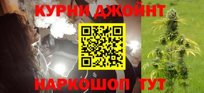 шишки Заводоуковск