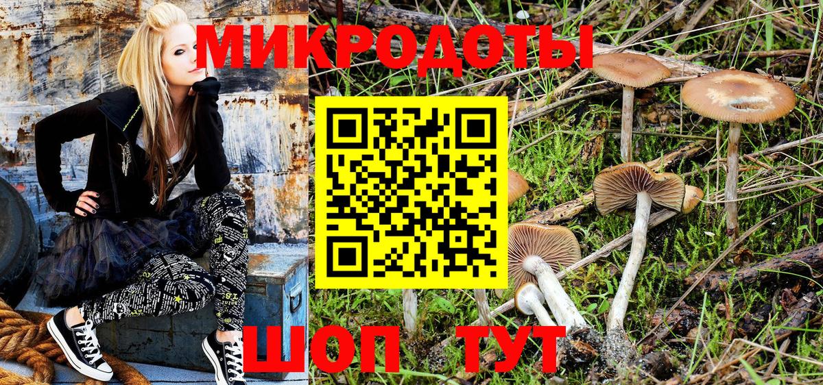 Крымск  Псилоцибиновые грибы Psilocybine cubensis  Вход с VPN 