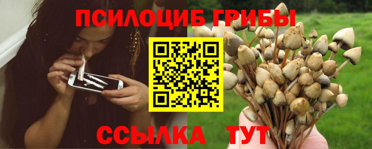 Псилоцибиновые грибы ЛСД Крымск